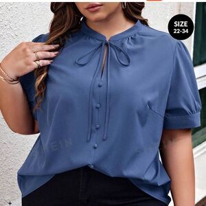 Blue Blouse
